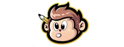 Designs Monkey